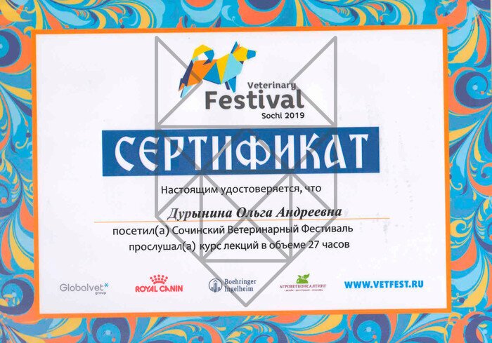 Документ или сертификат