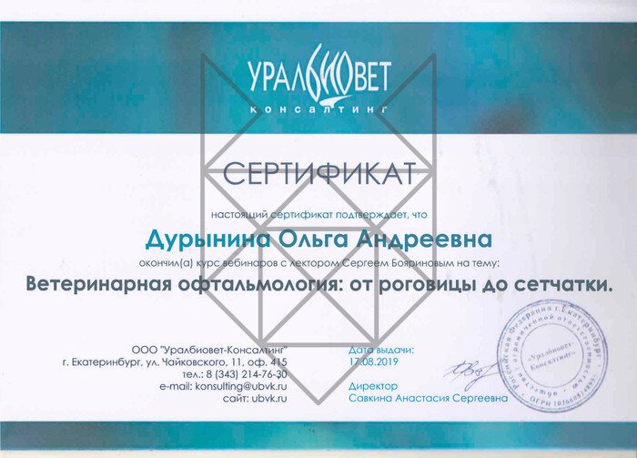 Документ или сертификат