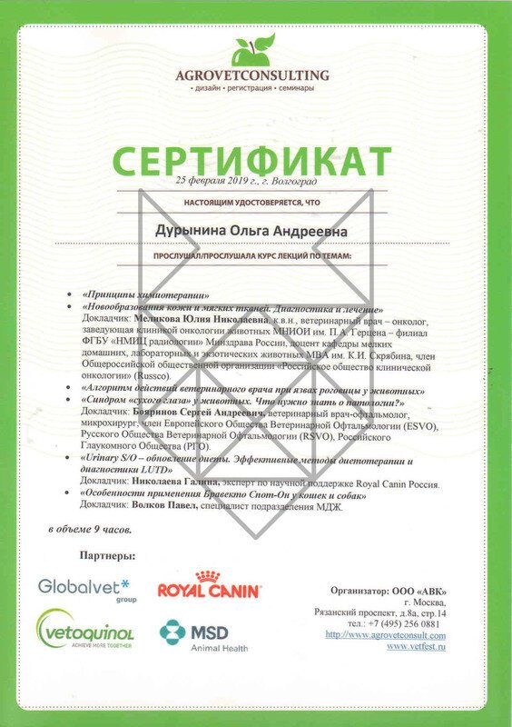 Документ или сертификат