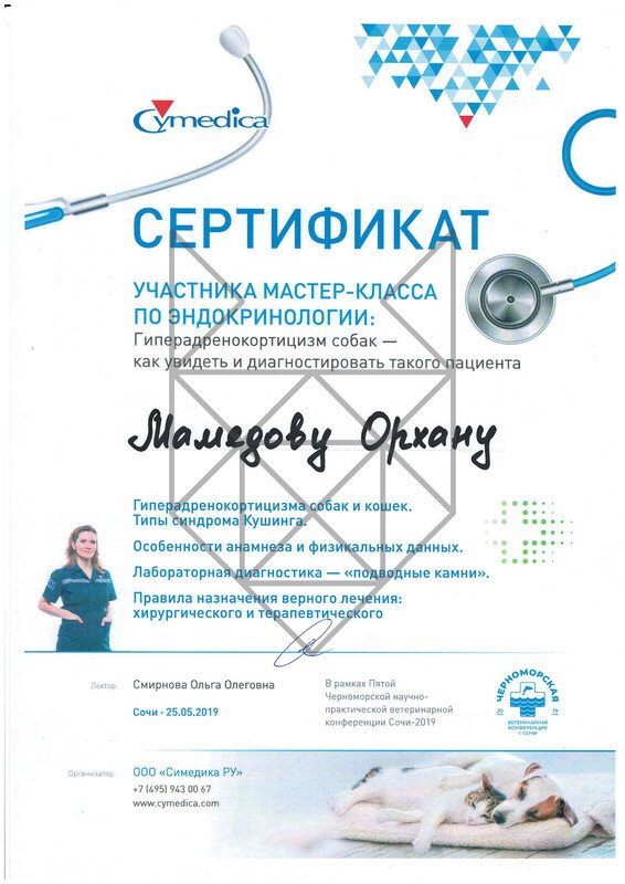 Документ или сертификат