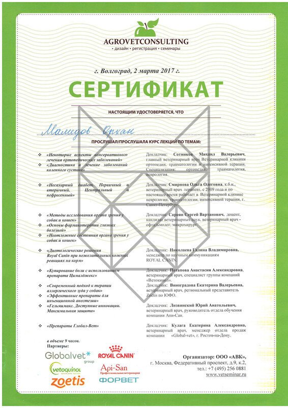 Документ или сертификат