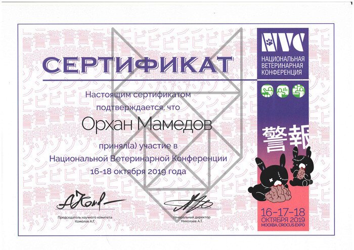 Документ или сертификат