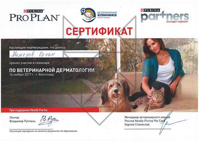 Документ или сертификат