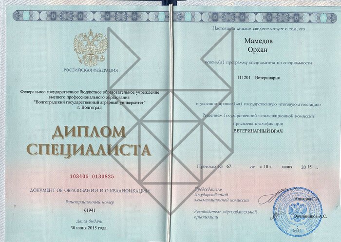 Документ или сертификат
