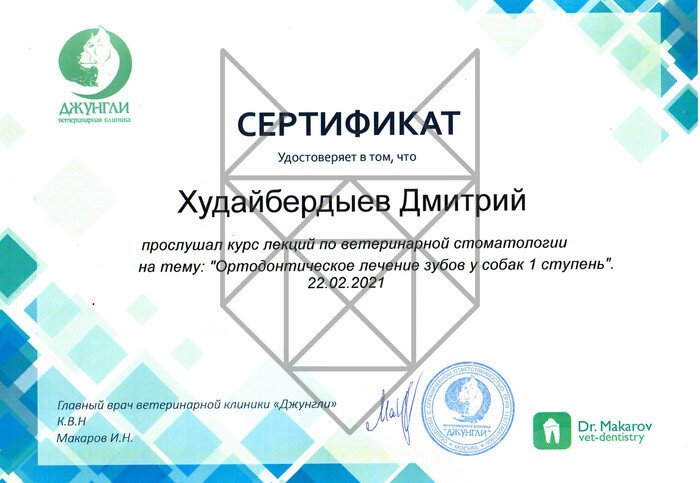 Документ или сертификат