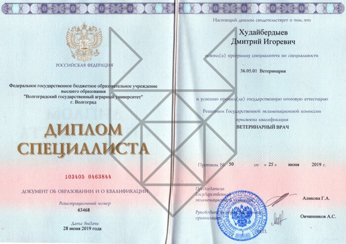 Документ или сертификат