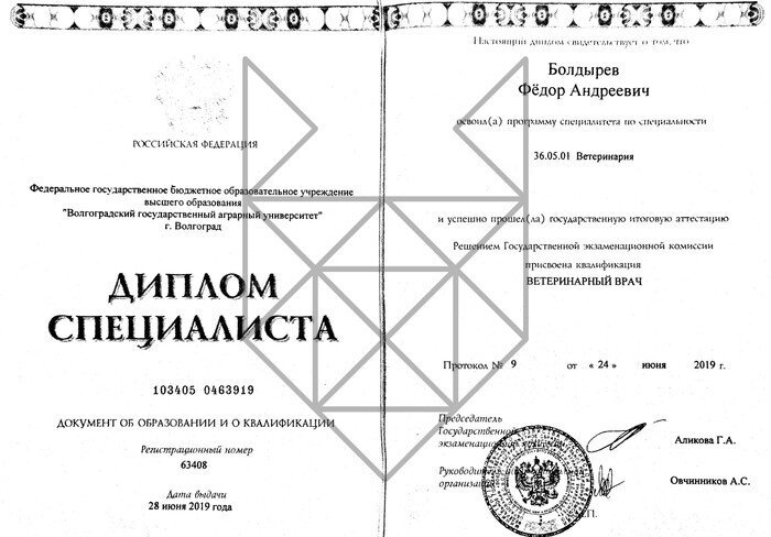 Документ или сертификат