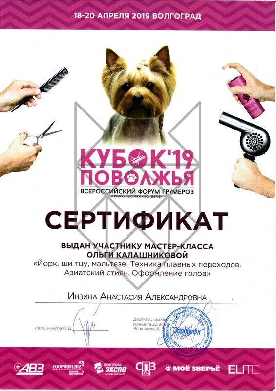 Документ или сертификат