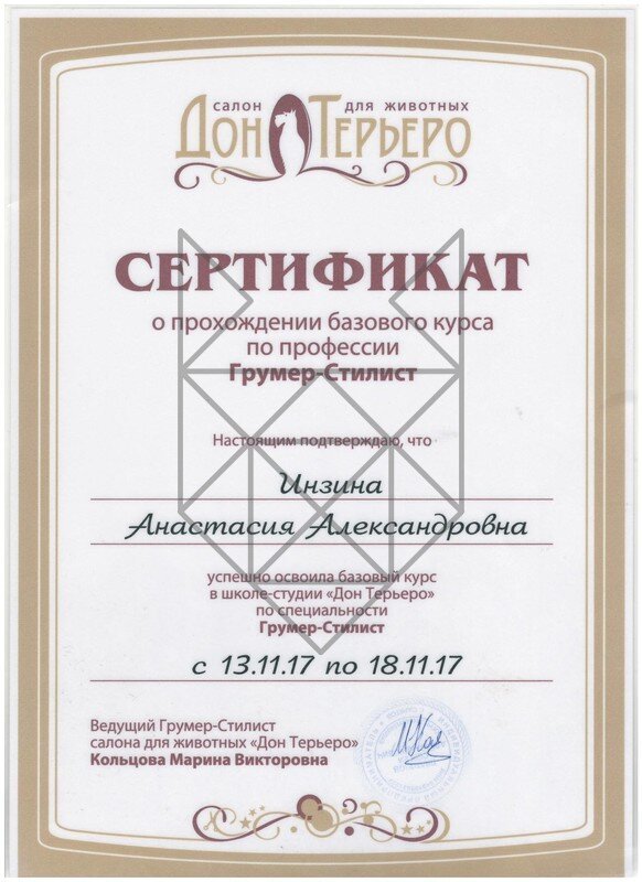 Документ или сертификат