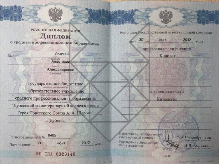 Документ или сертификат