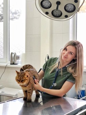Фото врача Леднева Александра Леонидовна