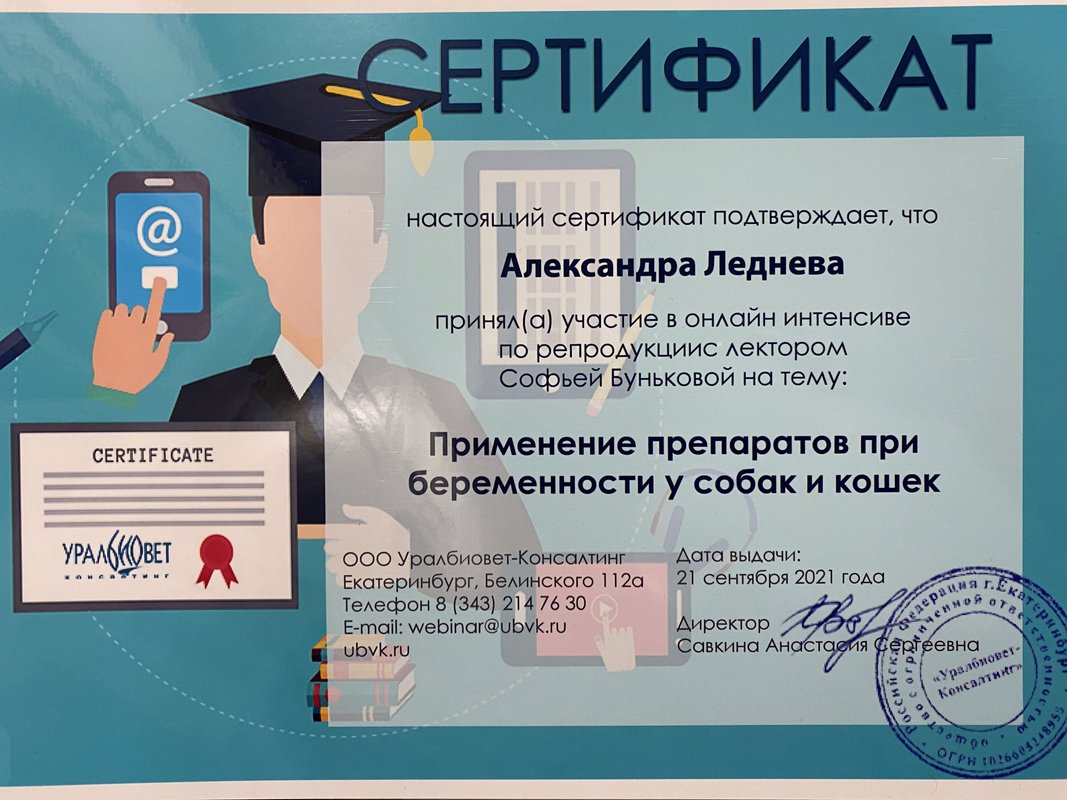 Документ или сертификат