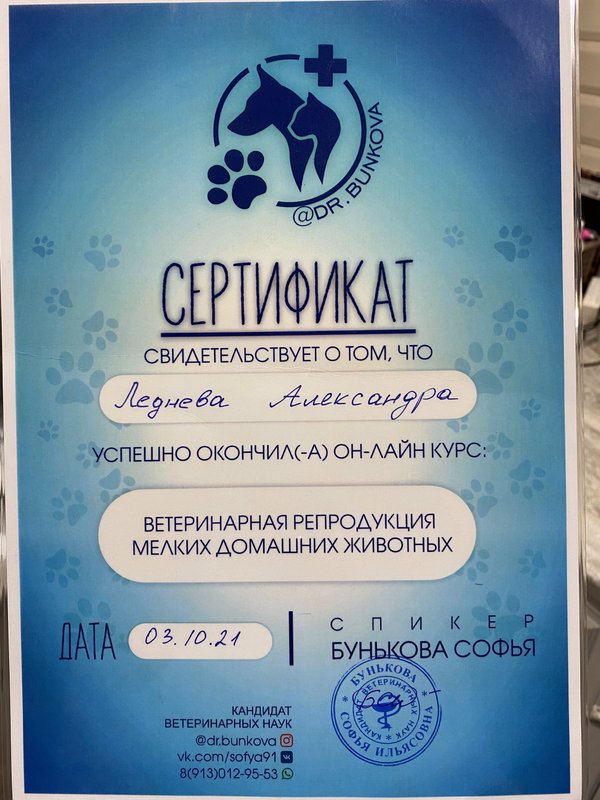 Документ или сертификат