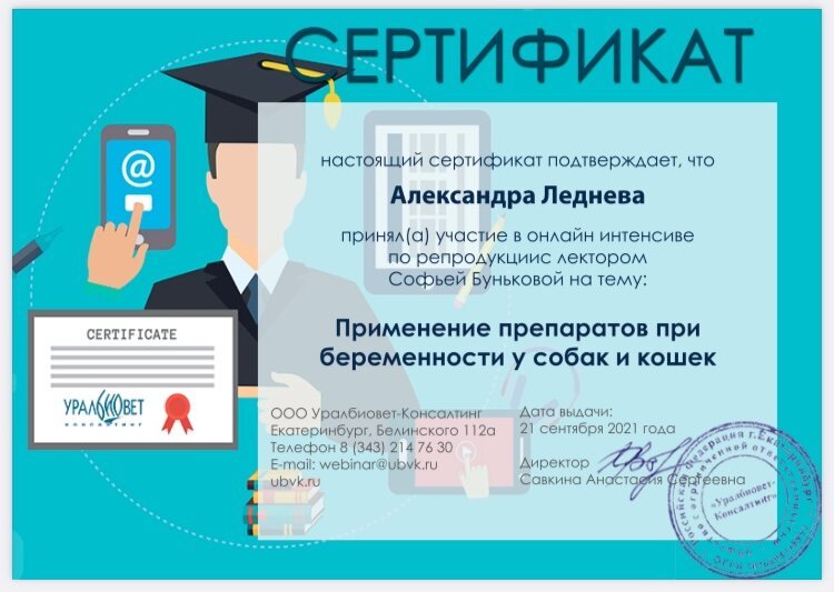 Документ или сертификат