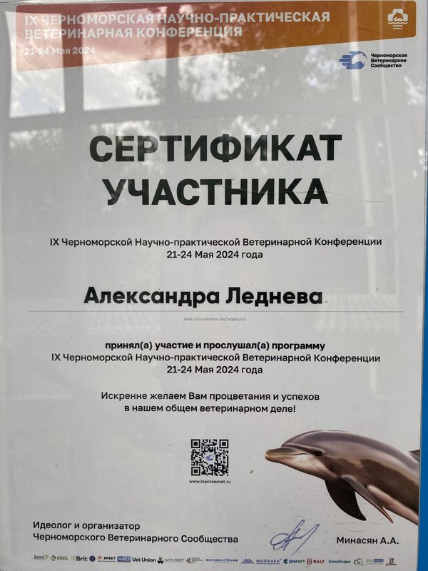 Документ или сертификат