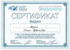 Документ или сертификат