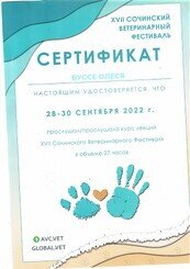 Документ или сертификат