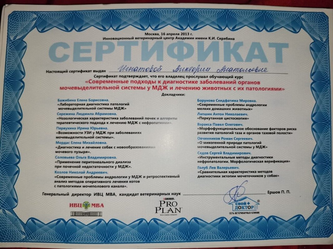 Документ или сертификат