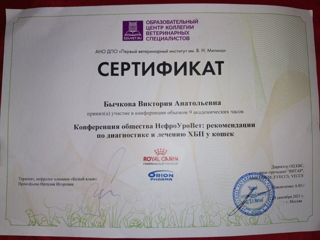 Документ или сертификат