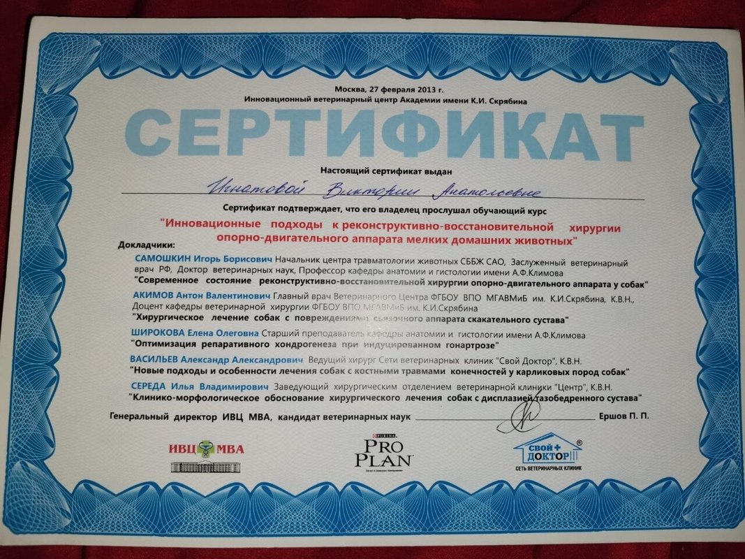 Документ или сертификат