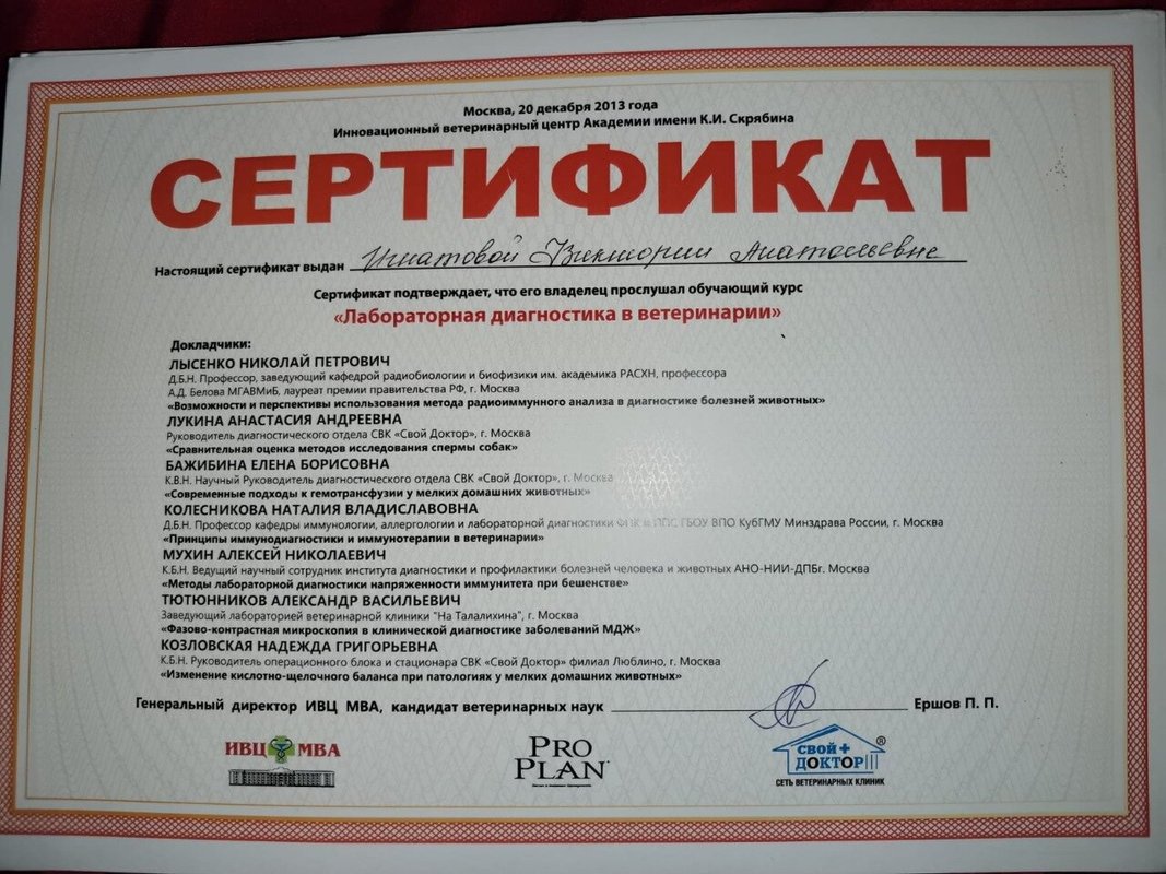 Документ или сертификат