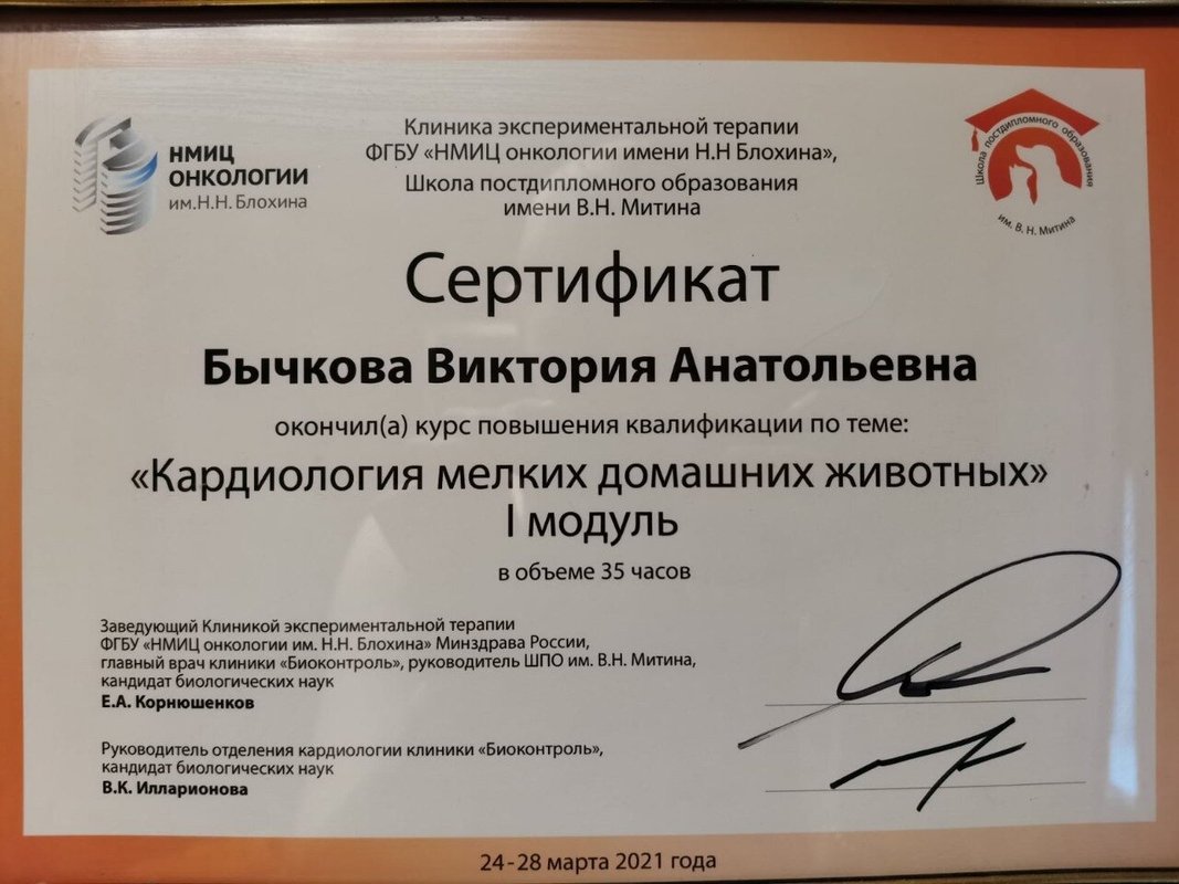 Документ или сертификат