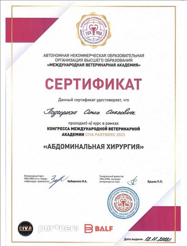 Документ или сертификат