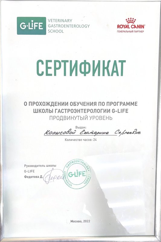 Документ или сертификат