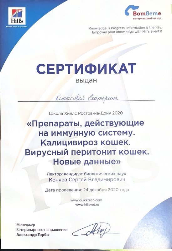 Документ или сертификат
