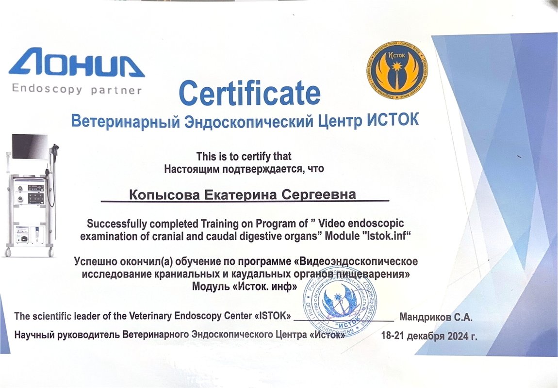 Документ или сертификат
