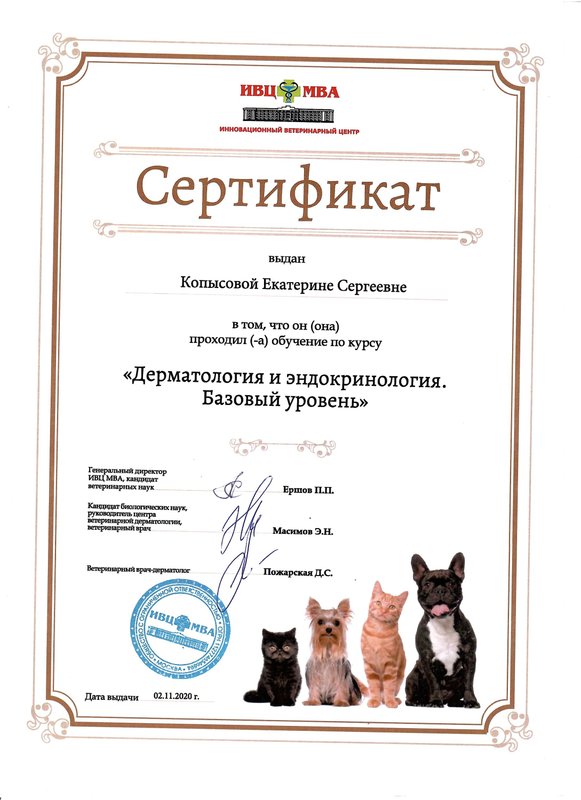 Документ или сертификат