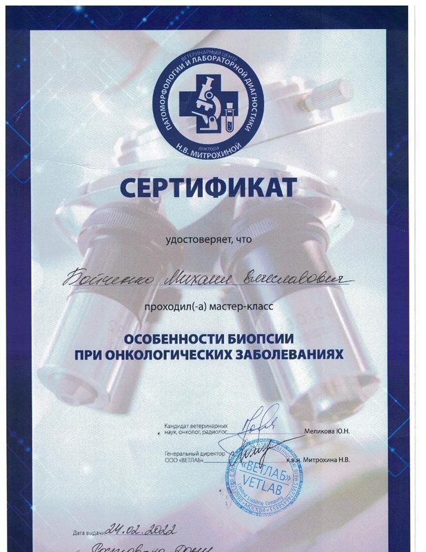 Документ или сертификат