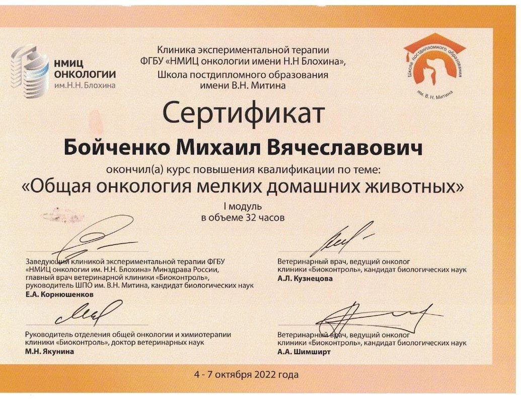Документ или сертификат