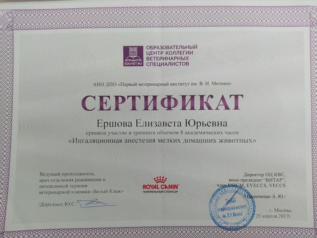 Документ или сертификат