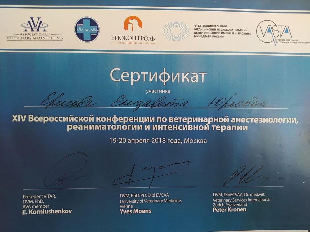Документ или сертификат
