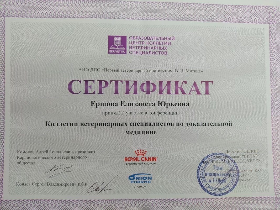 Документ или сертификат