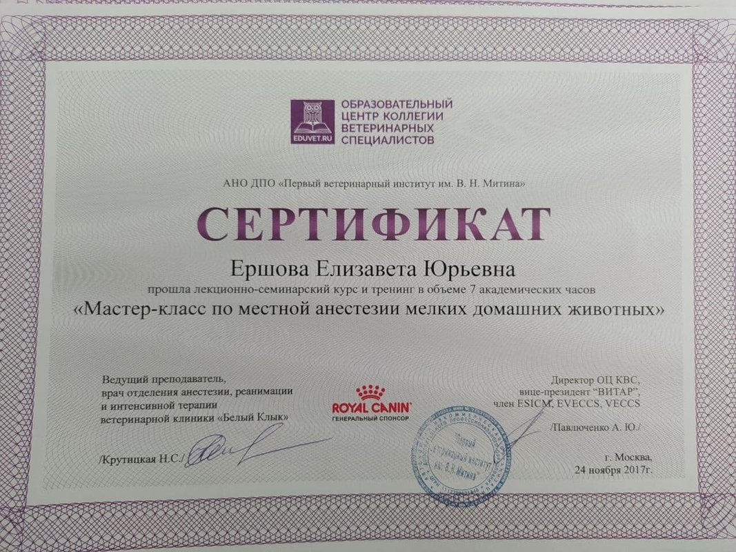 Документ или сертификат