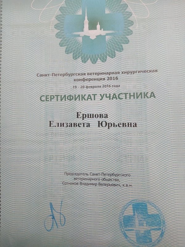 Документ или сертификат