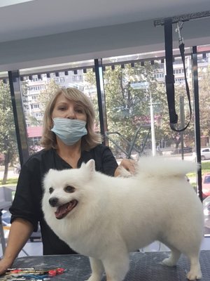Фото врача Виноградова Лана Сергеевна