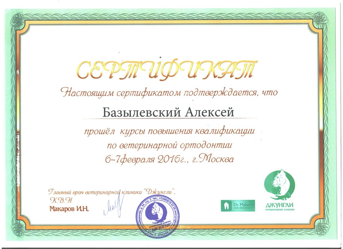 Документ или сертификат
