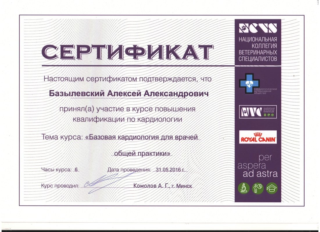 Документ или сертификат