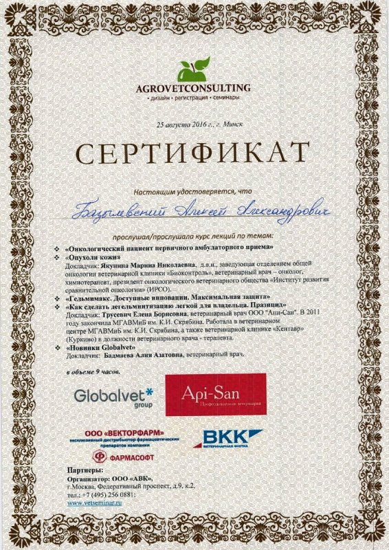 Документ или сертификат