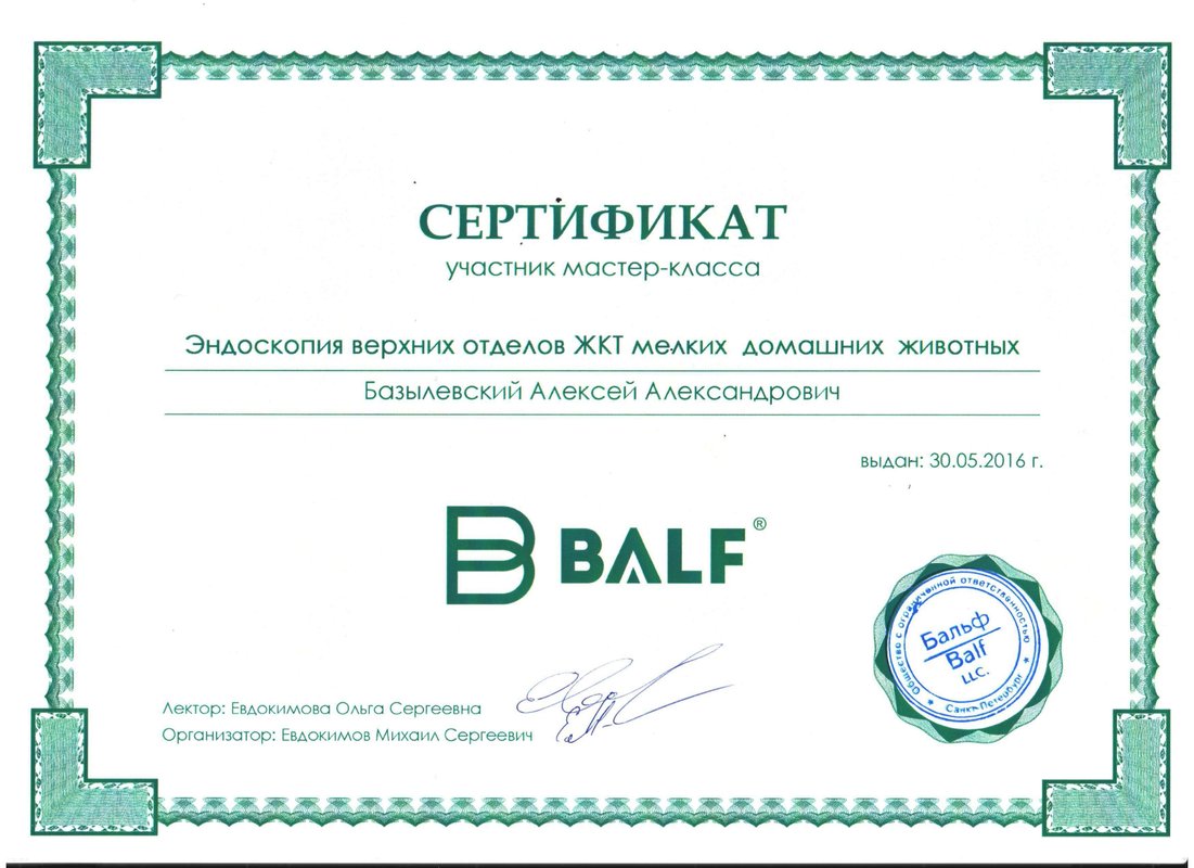 Документ или сертификат