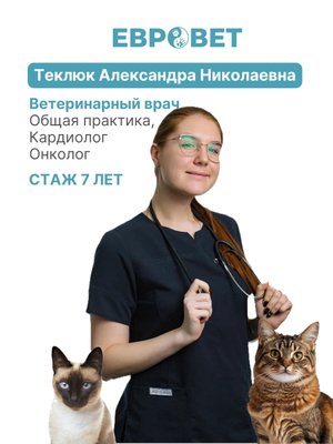 Фото врача Теклюк Александра Николаевна