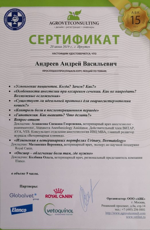 Документ или сертификат