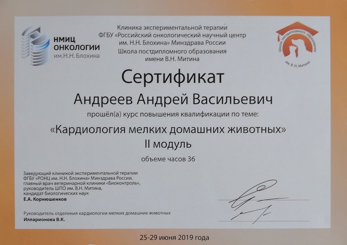 Документ или сертификат