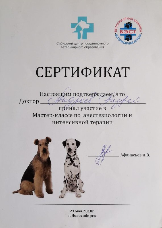 Документ или сертификат