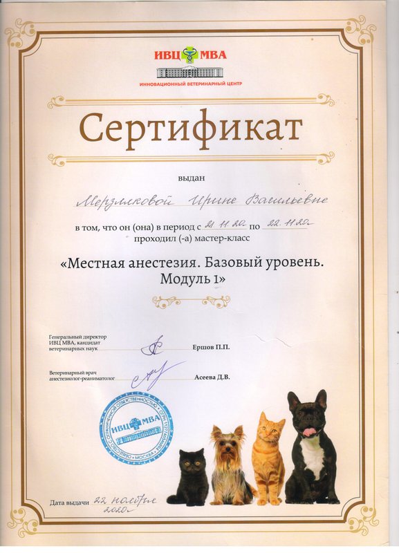 Документ или сертификат