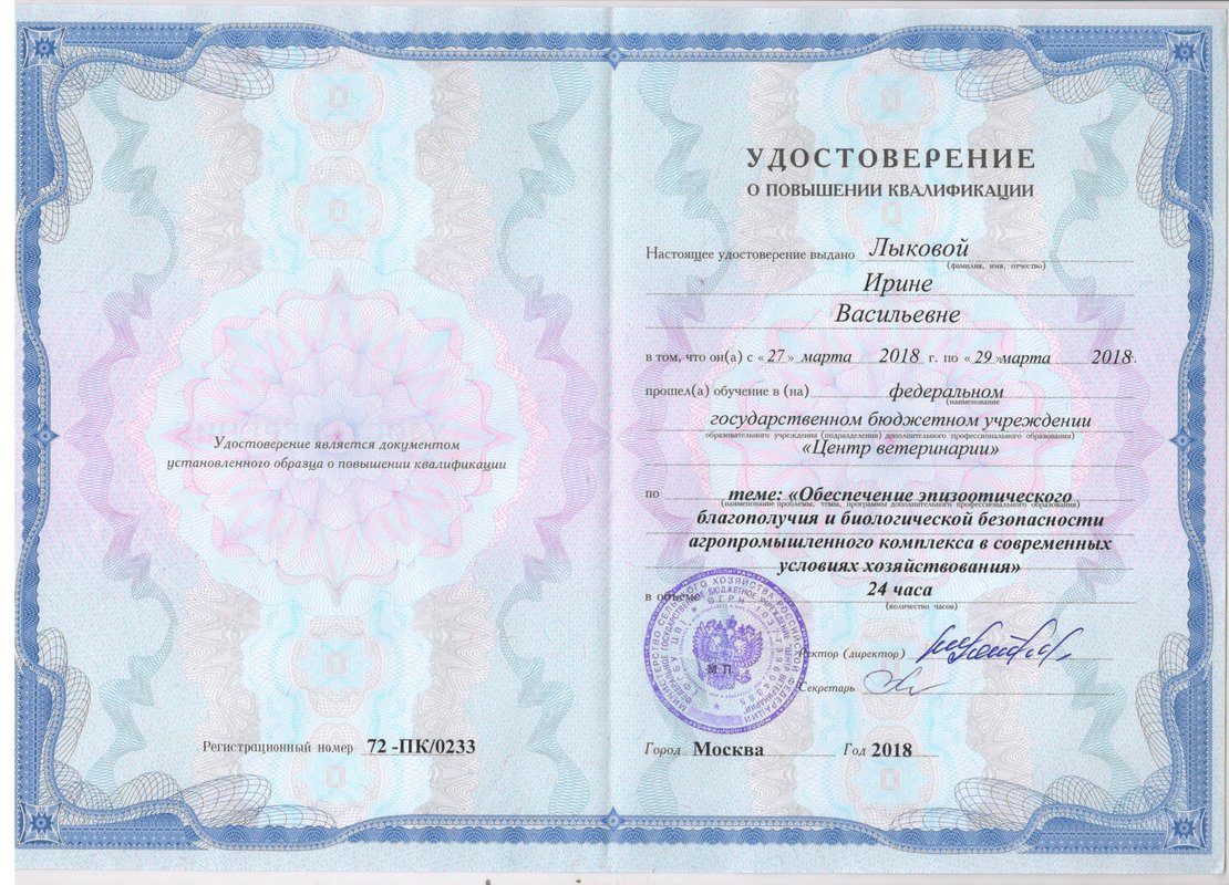 Документ или сертификат