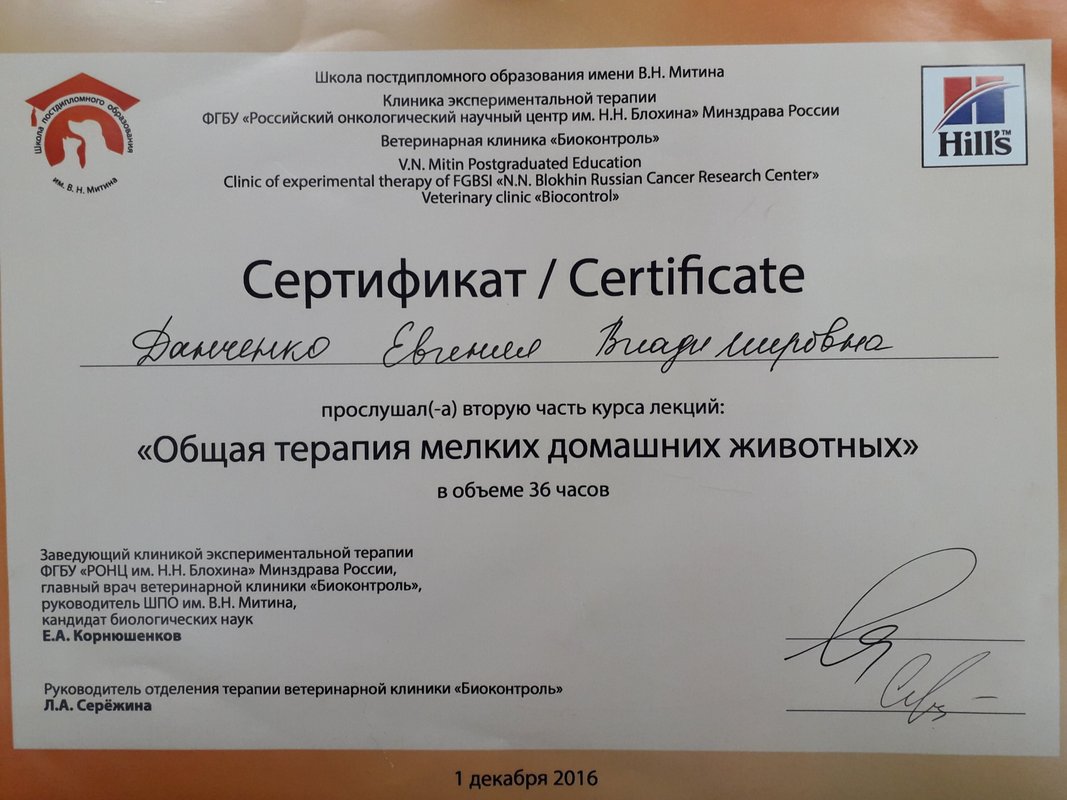 Документ или сертификат
